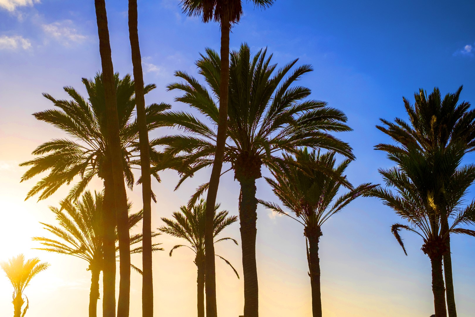 The Ultimate Guide to a Sales Incentive Trip: Santa Barbara