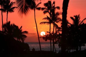 Hawaii Sunset Beach Palm Trees
